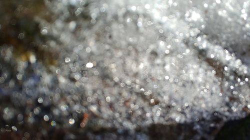 Close-up of water drops on plant