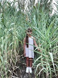 Low angle view of woman standing on tree trunk