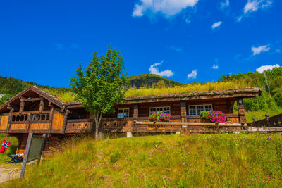 House and trees on field against blue sky