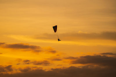 Low angle view of silhouette bird flying against orange sky