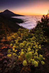 Scenic view of mountain against sky during sunset