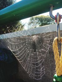 Close-up of spider web against sky