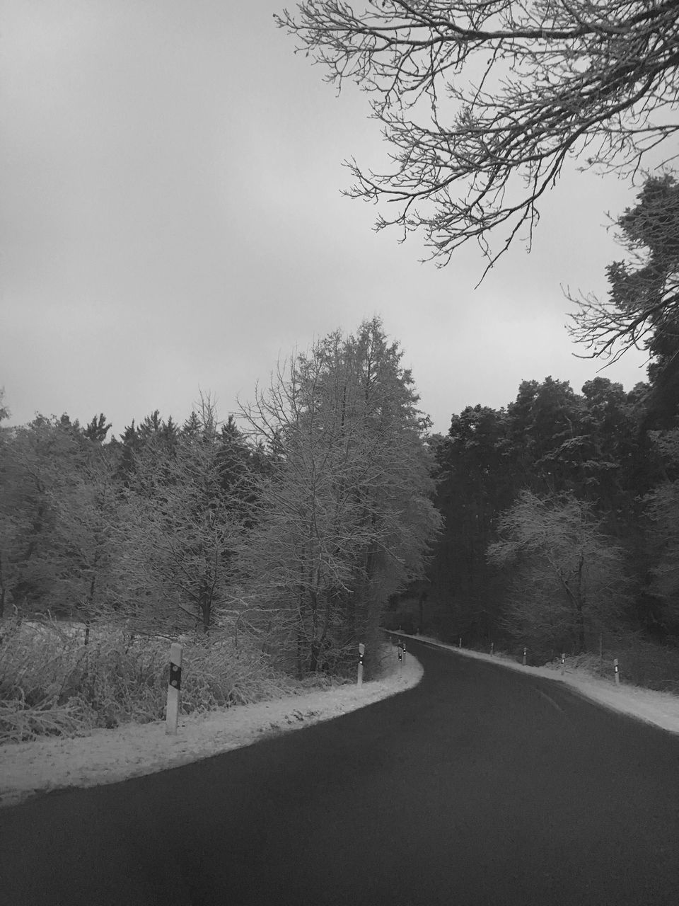 ROAD AMIDST TREES ON LANDSCAPE AGAINST SKY