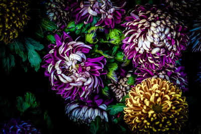 Close-up of multi colored flower bouquet