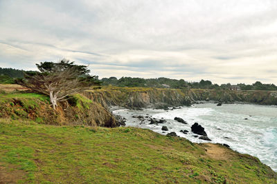 Scenic view of landscape against sky