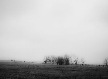 Scenic view of field against clear sky