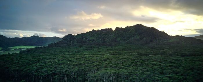 Scenic view of agricultural field against sky during sunset