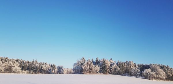 Snow covered landscape against clear blue sky
