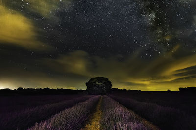 Scenic view of field against sky at night