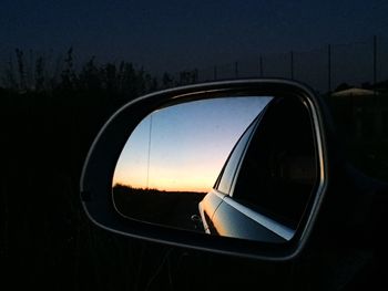 Reflection of trees in side-view mirror