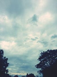 Low angle view of silhouette trees against sky