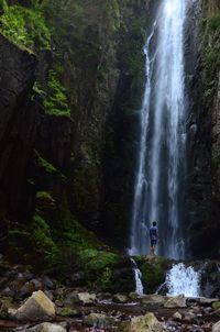 Scenic view of waterfall in forest