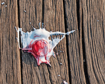 High angle view of ice cream spilled on wooden plank