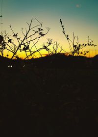 Silhouette plants on field against sky during sunset