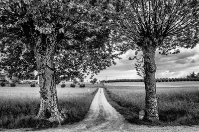 Road passing through field