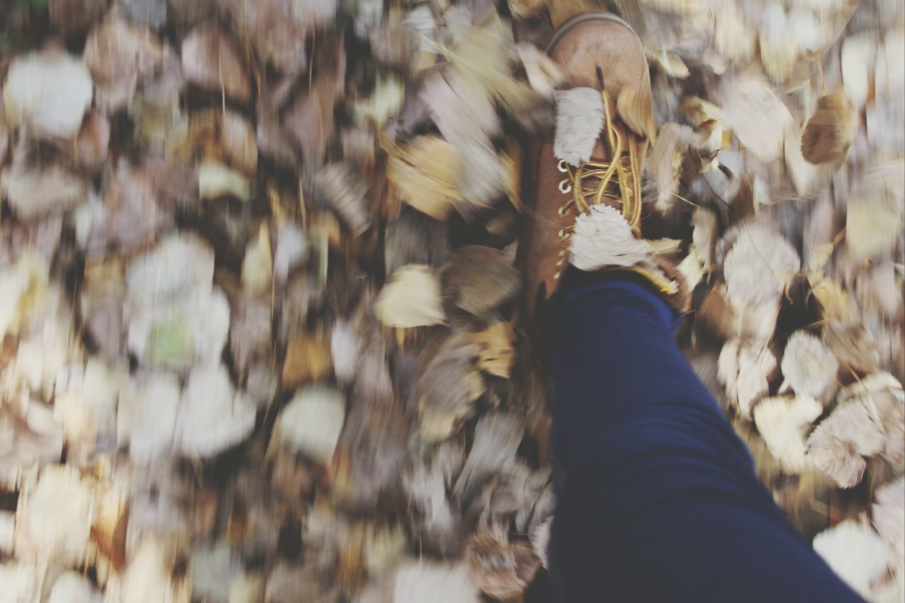 low section, person, personal perspective, unrecognizable person, shoe, lifestyles, animal themes, high angle view, part of, selective focus, men, leisure activity, close-up, human foot, focus on foreground, day, standing