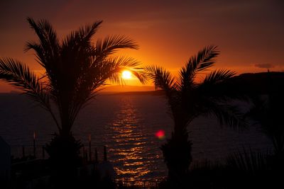 Silhouette palm trees on beach against orange sky