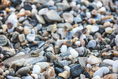 Full frame shot of stones on beach
