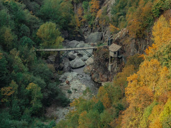 High angle view of trees in forest during autumn