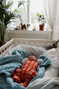 Low section of baby boy relaxing in crib at home