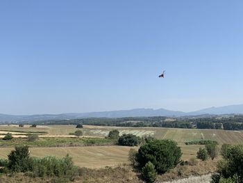 Scenic view of landscape against clear sky