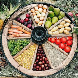 High angle view of fruits in container