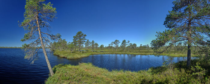 Scenic view of lake against clear blue sky