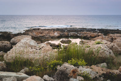 Scenic view of sea against clear sky