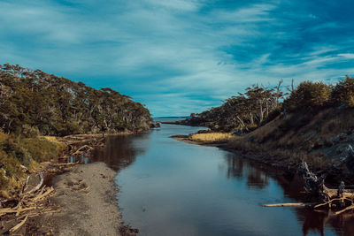 River amidst trees against blue sky