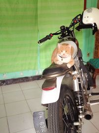 motorcycle