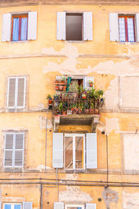 Balcony with green plants at an old house