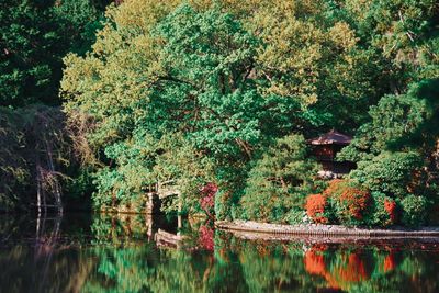 Scenic view of lake by trees during autumn