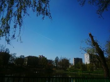 Low angle view of trees against sky