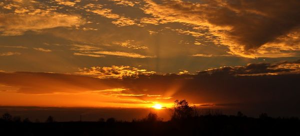 Silhouette trees against dramatic sky during sunset