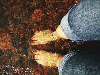 Low section of woman standing in water