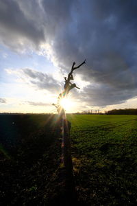 Scenic view of field against sky during sunset