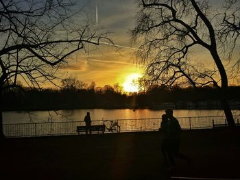 Silhouette of trees at sunset