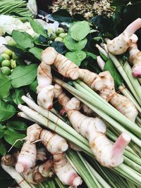 High angle view of gingers and vegetables