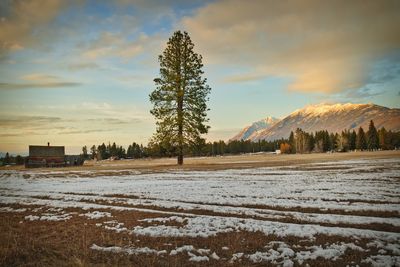 Scenic view of field against sky during sunset