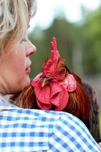 Close-up of girl with rooster