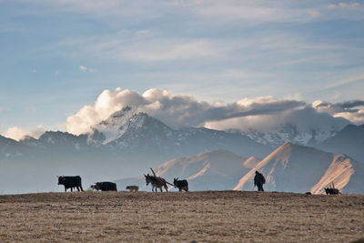 View of people on mountain range against sky