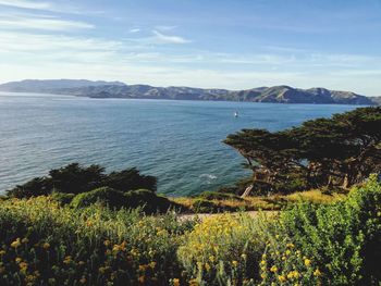 Scenic view of sea against sky