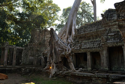 View of old temple against trees