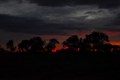 Silhouette trees on landscape against sky at sunset