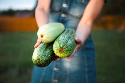 Midsection of man holding fruit