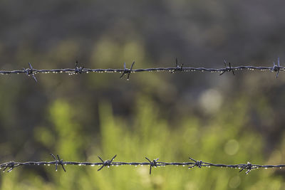 Close-up of barbed wire fence