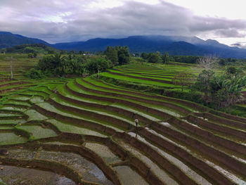 Aerial view beautiful morning view from indonesia about mountain and forest