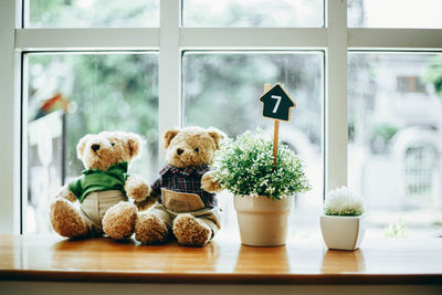 View of stuffed toy in glass window