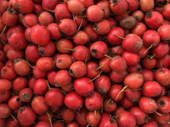 Full frame shot of rose hips at market for sale