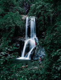 Scenic view of waterfall in forest